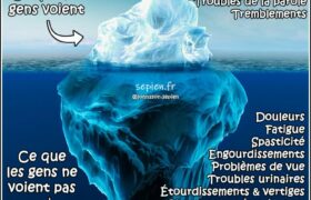 iceberg_fr - Sepiens